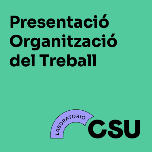 Presentació Organització del Treball