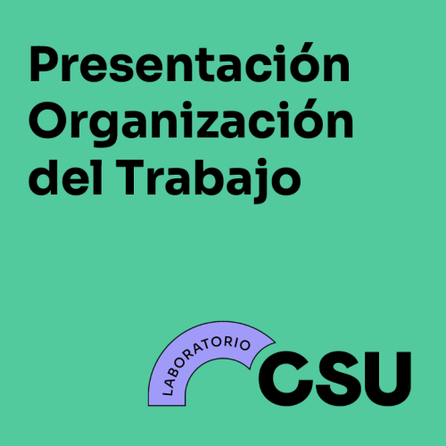 Presentación Organización del Trabajo